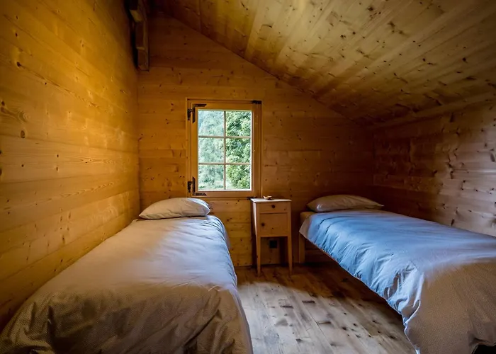 The Poetic By Exclusive Chalet Gryon