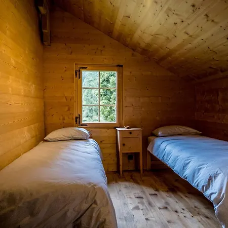 The Poetic By Exclusive Chalet Gryon